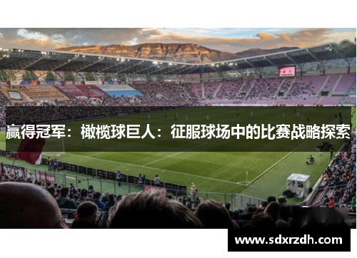 赢得冠军：橄榄球巨人：征服球场中的比赛战略探索